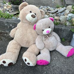 Giant Bears