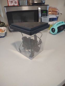 Betta Fish/Fish Tank