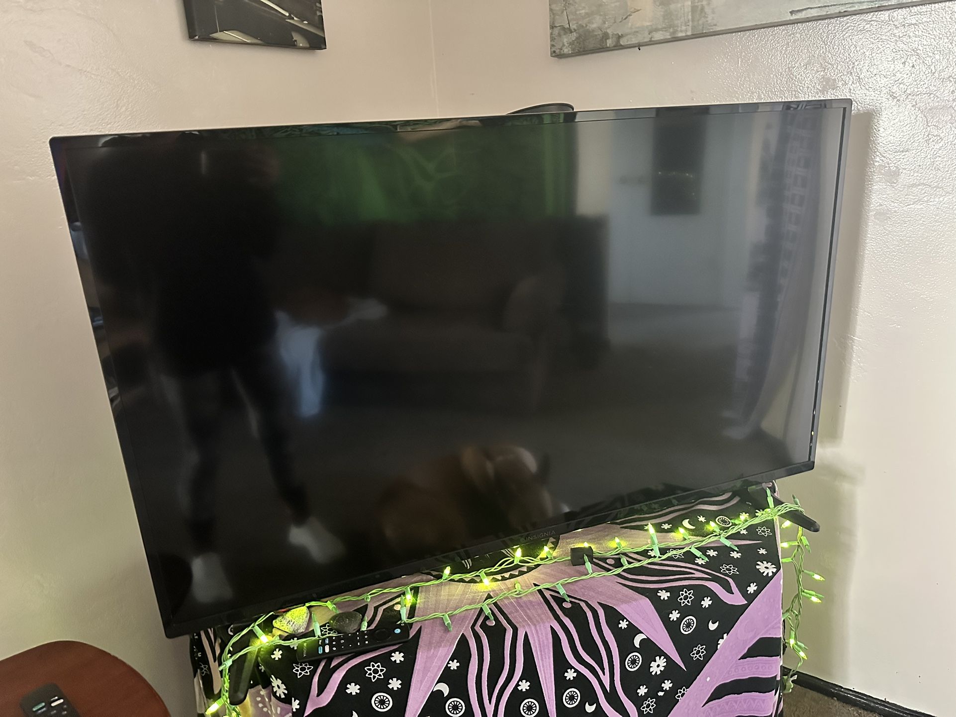 Insignia 50 Inch Tv