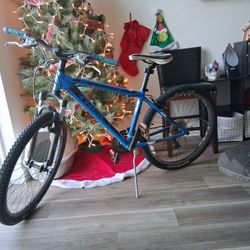 Trek Bike 