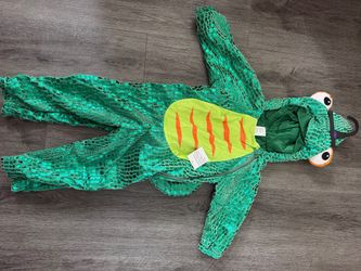 Chameleon costume 2t 3 t