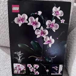 Botanical collection Orchid 