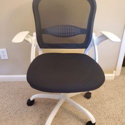 Ergonomic Desk/Office Chair