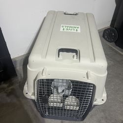 Pet Crate, Large