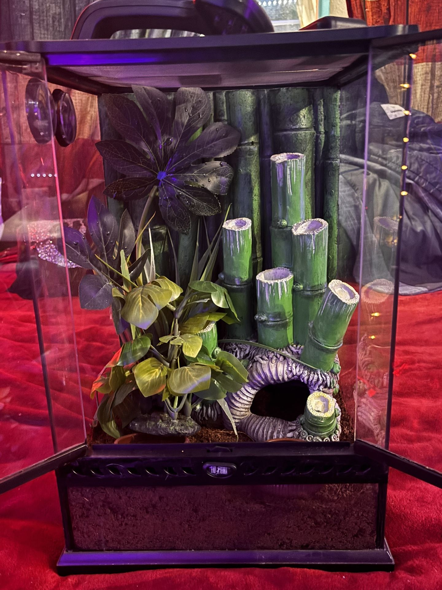NEW BAMBOO FORREST EXO TERRA TERRARIUM- FLASH DEAL!!