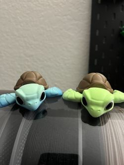 Sea Turtles