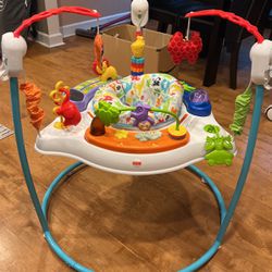 Fisher Price Bouncy 