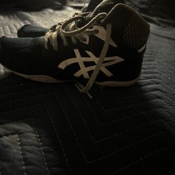 Wrestling Shoes 