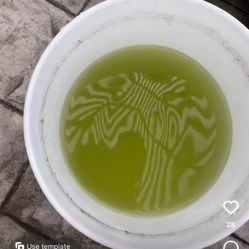 Planter Liquid Fertilizer 