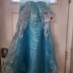 Girl's Deluxe Ana Costume S(4-6X)