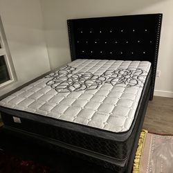 Queen Size Mattress Pillow Top New