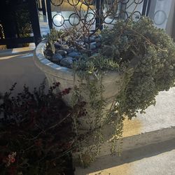 Outdoor Concrete Planters 