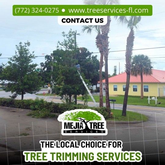 Tree Trim