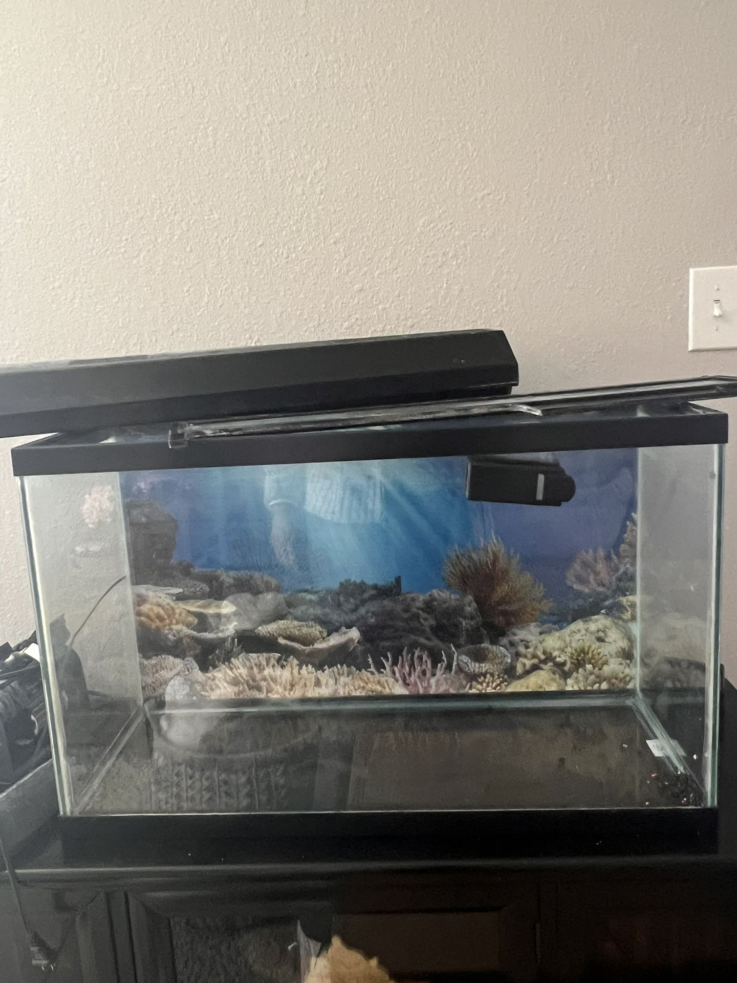 Fish Tank