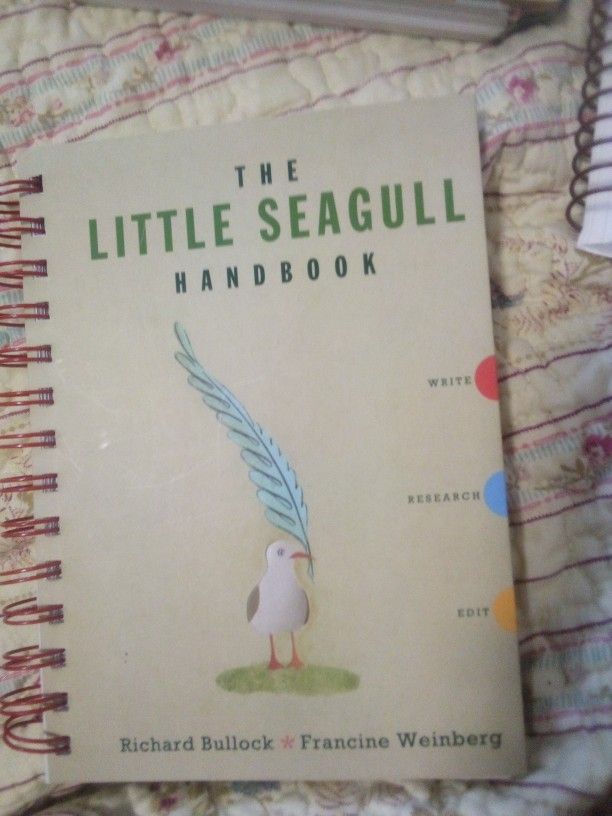 The Little Seagull
