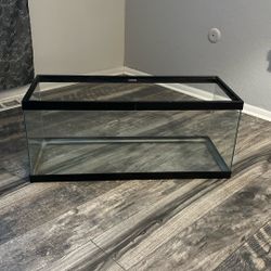 20 Gal Long