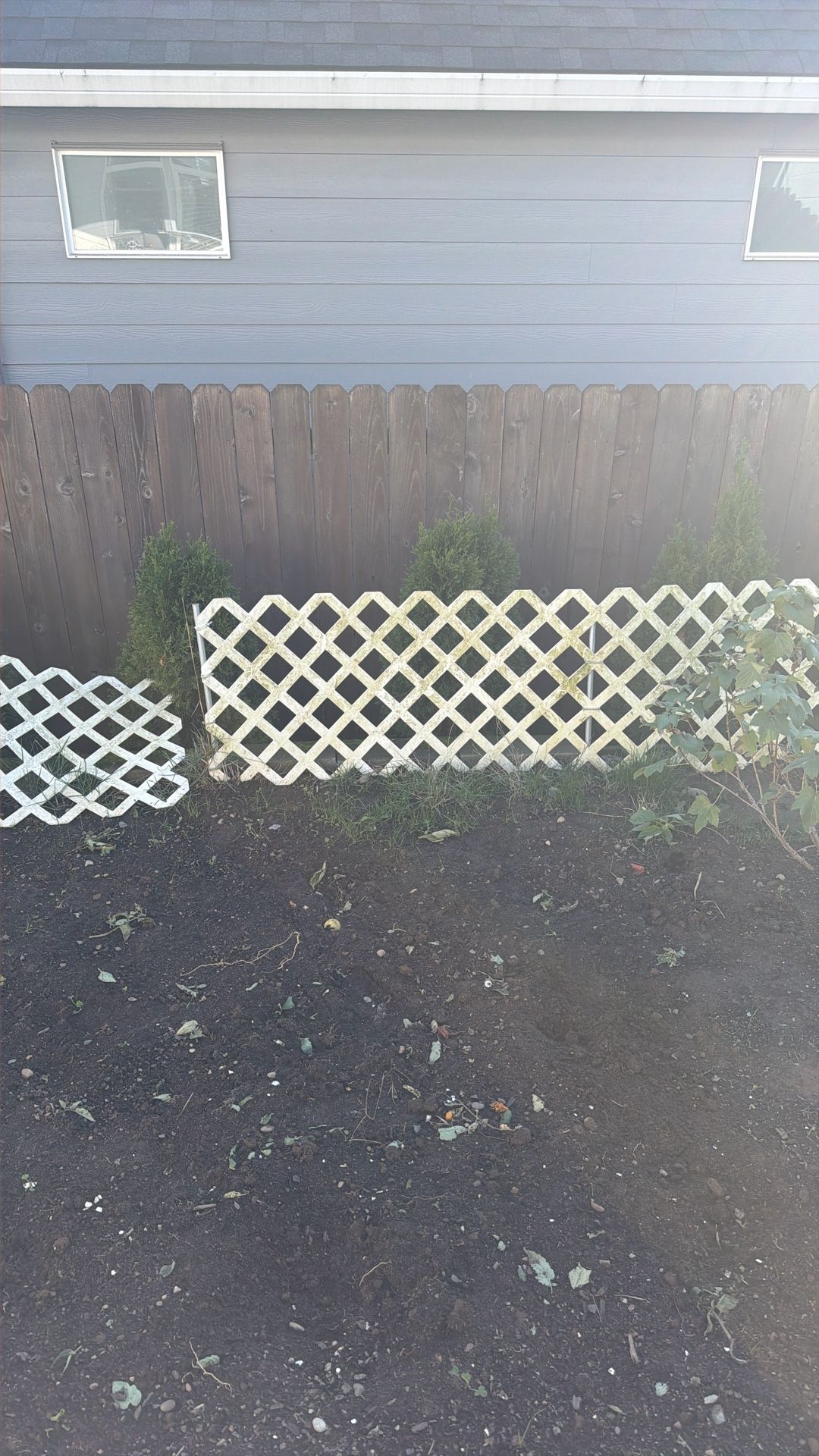 Free White Fence