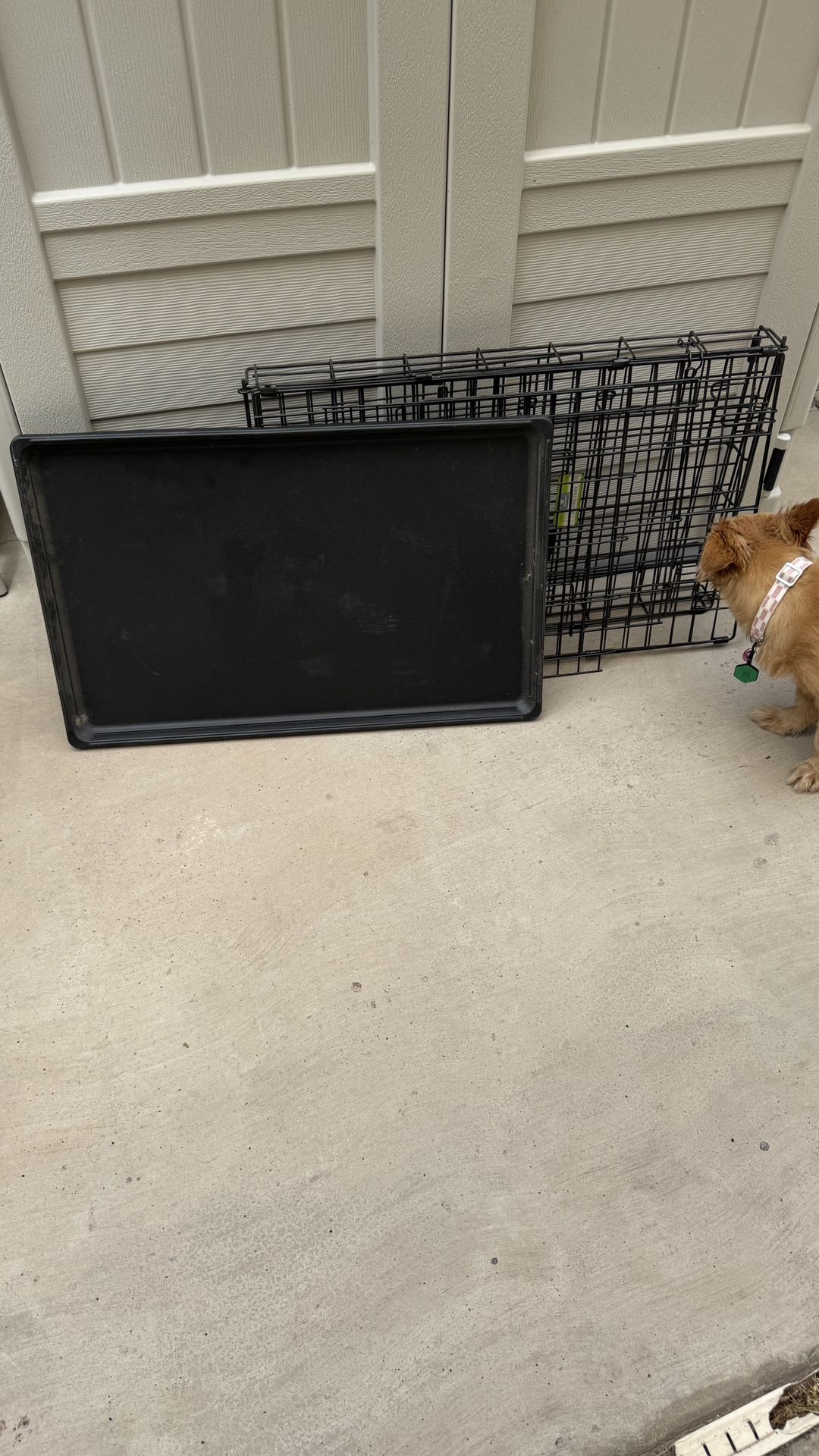 Top Paw Double Door Foldable Wire Dog Crate 