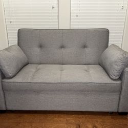 INDIVIDUAL sale/ Not a Store   (Never Used Love Seat Pull-Out Sleeper )
