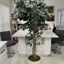 6ft Artificial Tree In a Beautiful Off White Pot.