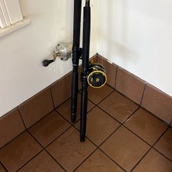 Penn Squall 30LW (Level Wind) And Shimano Talica LW