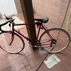 1970 Schwinn Chicago 