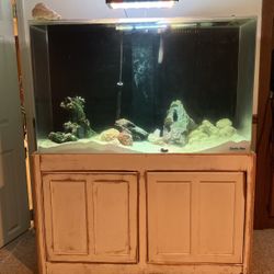 Saltwater Fish tank and Custom Stand