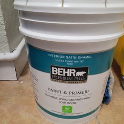 Paint 5 gallon