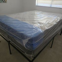 Single Twin Mattress 99 Full Double 159 Queen Bed 179 King 229 California King 229 Frame 69 XL Twin Mattresses All Sizes Available