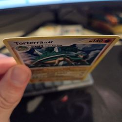 Torterra Holo 11/100 