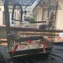 Bird Cage