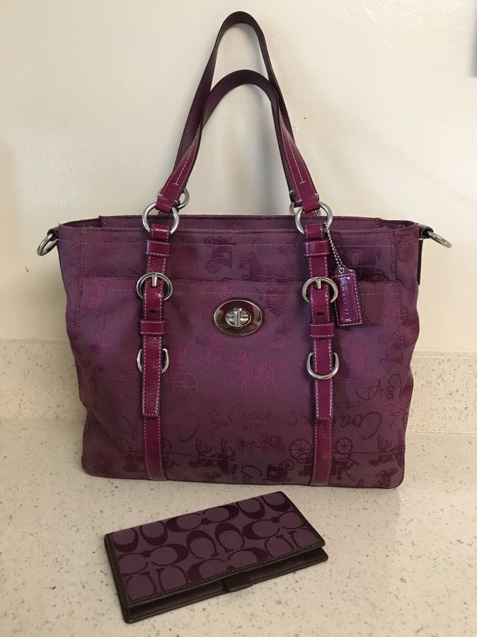 Coach purse and checkbook (Authentic)