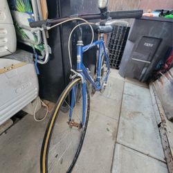 Trek 1100 Aluminum Bike