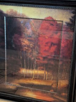 Wooded scene, large