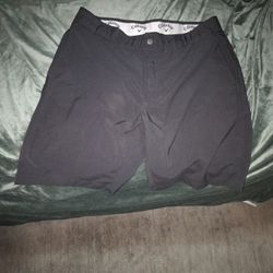 Callaway Shorts