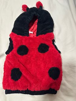 Lady Bug Costume 12-24 months