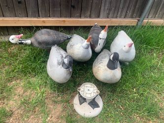 6-Pack Mixed Full Body Goose Decoys w/ Bases & Swappable Heads