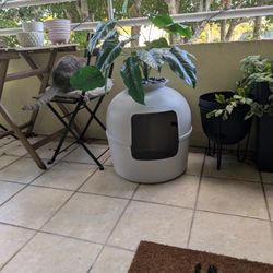 Cat Litter Box With Faux-plant