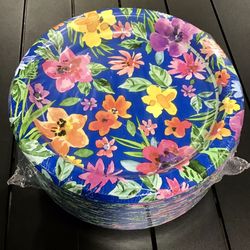 Paper Plates 85ct 