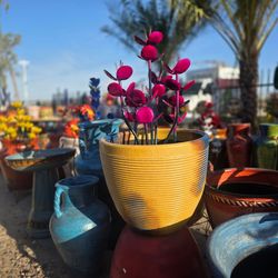 Desert Yard Beauties💐POTTERY+flowers
Metal Art Imports🌵Macetas