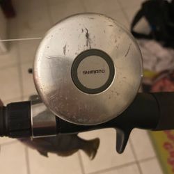 Shimano Corsair Reel