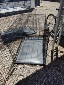 dog kennel