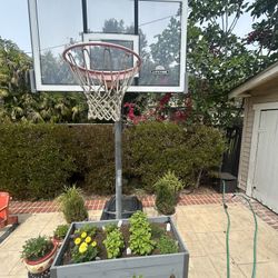 Outdoor Portable Standard Basketball Hoop
