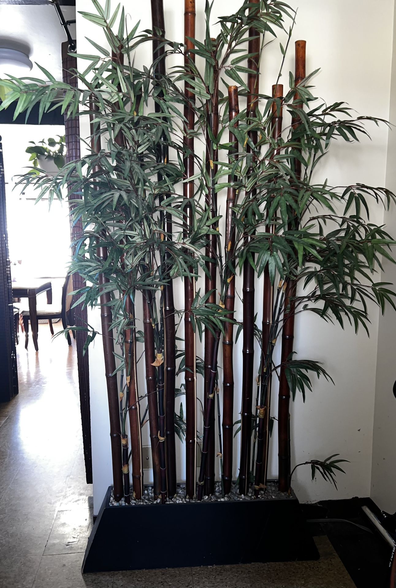 7.5 ft Tall Bamboo