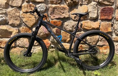 Trek Roscoe 7 (Large)