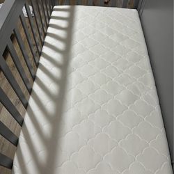 Newton crib mattress