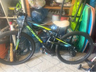 Schwinn