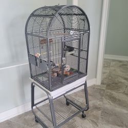 Bird Cage