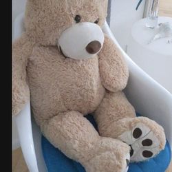 Large teddy Bear