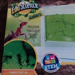 Ant Farm With Light Up Gel